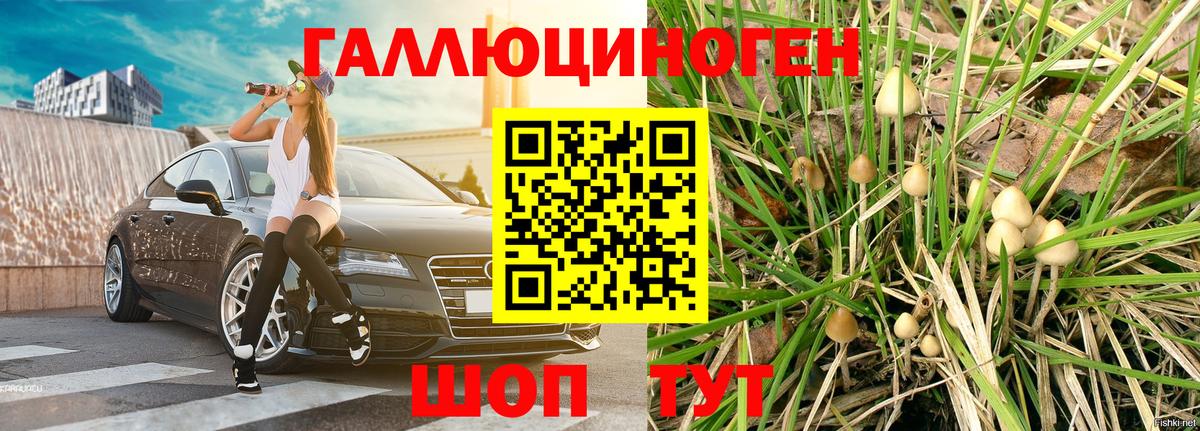 Псилоцибиновые грибы Magic Shrooms  Псилоцибиновые грибы MAGIC MUSHROOMS  Усть-Илимск  Вход с VPN 